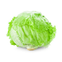 Eisbergsalat &ndash; Kiste &aacute; 12 Stk