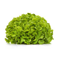 Eichblatt Salat Gr&uuml;n &ndash; Kiste &aacute; 9 Stk.