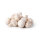Champignons Wei&szlig; (mittelgro&szlig;) &ndash; Kiste &aacute; 3 kg