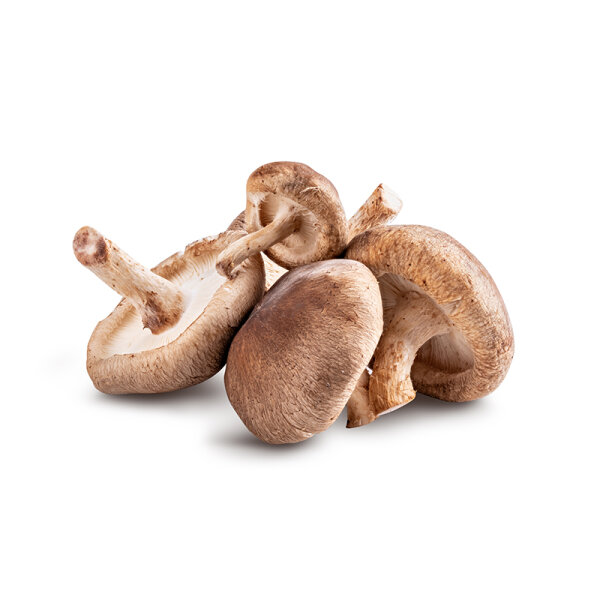 Shiitake Pilze &ndash; Kiste &aacute; 1,5 kg