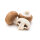 Champignons Braun (mittelgro&szlig;) &ndash; Kiste &aacute; 3 kg