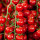 Cherrystrauchtomaten - 3 kg Kiste