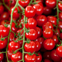 Cherrystrauchtomaten - 5 kg Kiste