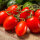 Dattel-Cherrystrauchtomaten - 3 kg Kiste