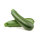 Zucchini (Gr&uuml;n) - 5 kg Kiste