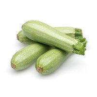 Zucchini (Wei&szlig;) - 5 kg Kiste