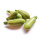 Mini-Zucchini - 4 kg Kiste