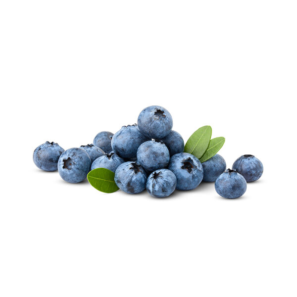 Blaubeeren &ndash; 10 x 250g Schale Kiste