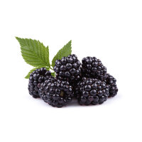 Brombeeren &ndash; 20 x 500g Schale Kiste