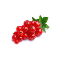 Johannissbeeren &ndash; 12 x125g Schale Kiste