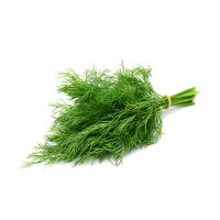 Dill &ndash; Kiste &aacute; 20 x 200g im Bund