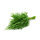 Dill &ndash; Kiste &aacute; 20 x 200g im Bund