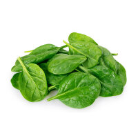 Spinat &ndash; Kiste &aacute; 12 x 250g im Bund
